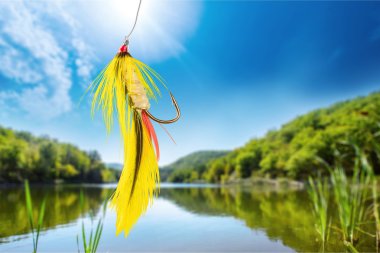 Fluffy fly fishing hook  clipart