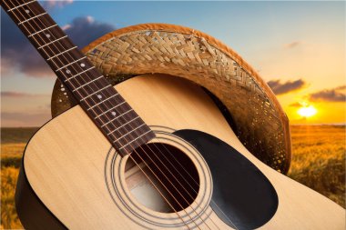 akustik gitarı kapat.