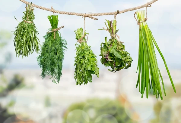 Fresh herbs hanging isolated — Stock Photo, Image