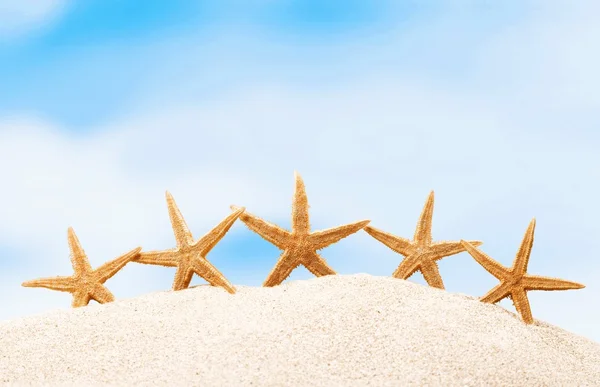Starfish on Beach Sand — Stock Photo, Image