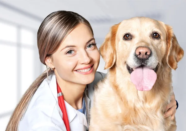 Mooie jonge dierenarts met hond — Stockfoto