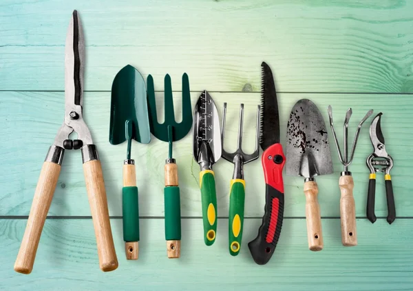 Outils de jardinage sur fond — Photo