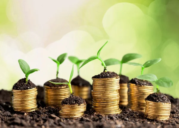 Coins in soil with young plants — Stock Photo, Image