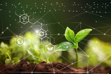 Seedlings are exuberant from abundant loamy soils, nutrients in plant. Soil with digital mineral nutrients icon.