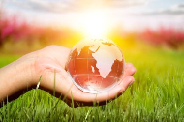 hand holding a globe over grass