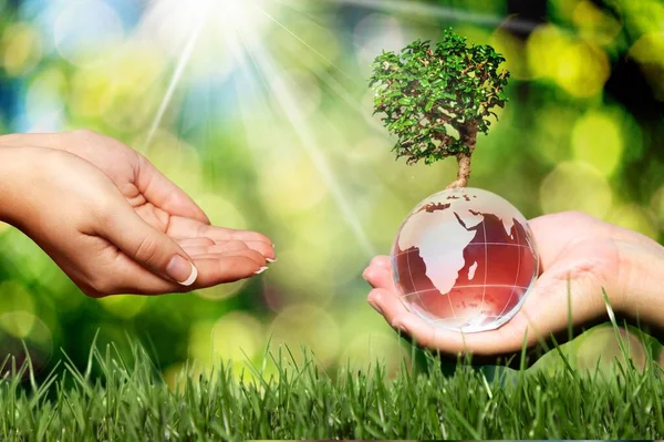 Hand Hält Welt Planet Globus Mit Grünem Gras — Stockfoto