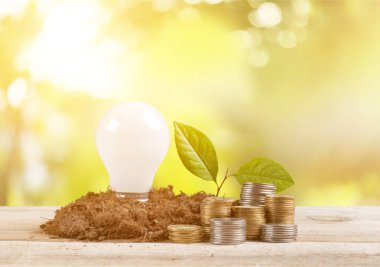 Masadaki bardaktaki madeni paralardan yetişen bitki.