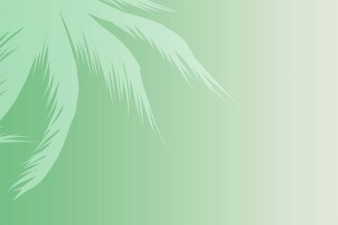 Tropikal yapraklar mavi bir zemin üzerinde palmiye ağacı ve metin için boşluk bırakır. Seyahat acentesi için en üst görünüm afişi - Görüntü