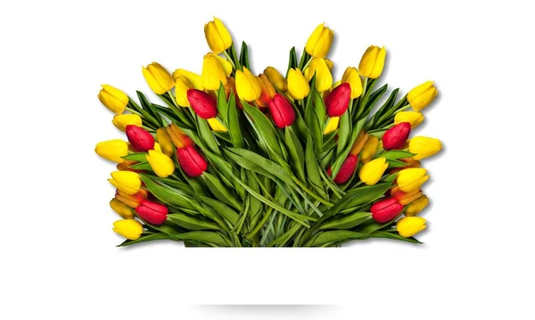 創造的な美しいカラフルなチューリップの花の花束 春とイースターのコンセプト — ストック写真