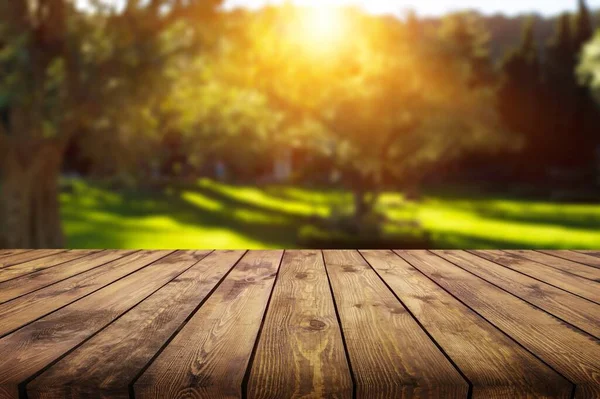 Tavolo Legno Vuoto Con Spazio Libero Sfondo Alberi — Foto Stock