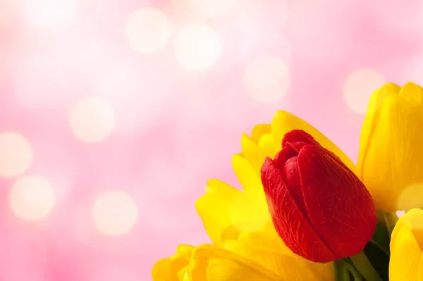 チューリップの花束 国際女性デーのプレゼント 花と休日の装飾 — ストック写真