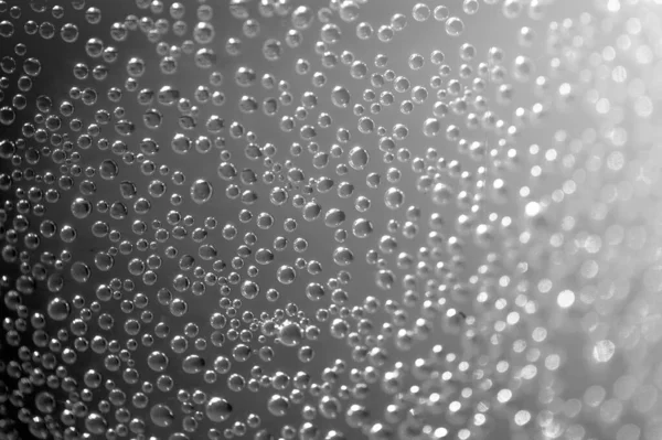 Kaca Dengan Tetes Hujan Terhadap Latar Belakang Gelap — Stok Foto