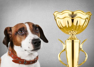 Minyatür şampiyonluk kupası olan sevimli bir köpek yavrusu. Kazanma ya da başarı kavramı