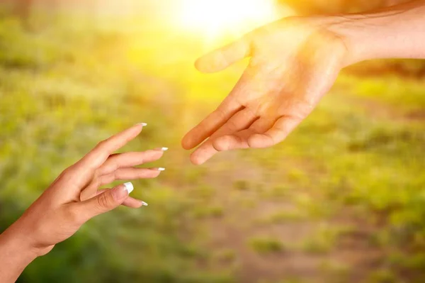 Konzept Menschlicher Beziehungen Männchen Und Weibchen Reichen Sich Die Hand — Stockfoto