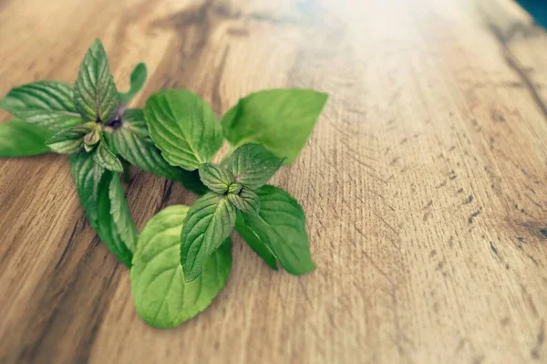 Daun Mint Hijau Segar Meja — Stok Foto