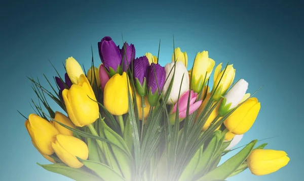 背景に美しい新鮮な花の花束 — ストック写真