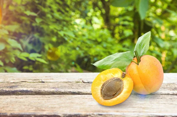 Fresh Tasty Sweet Organic Apricot Wfruit — Stock Photo, Image