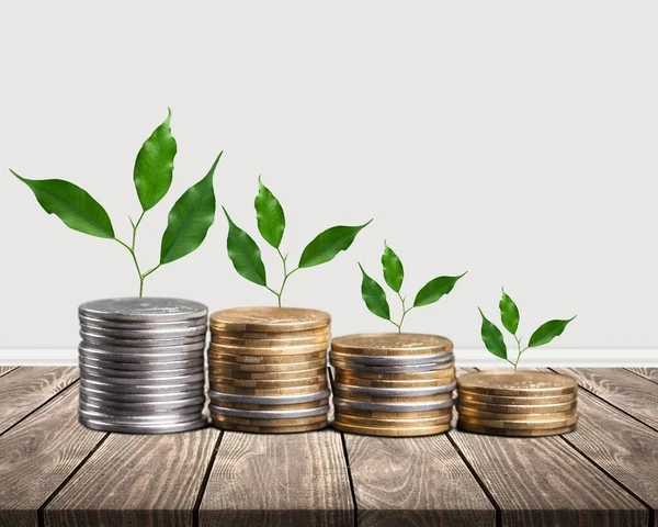 Mostrando Desenvolvimentos Financeiros Crescimento Negócios Com Uma Árvore Verde Crescente — Fotografia de Stock