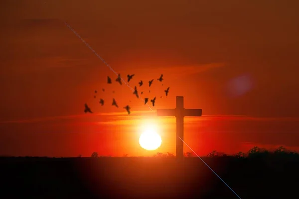 Christian wooden cross on hill outdoors at sunset. Crucifixion Of Jesus