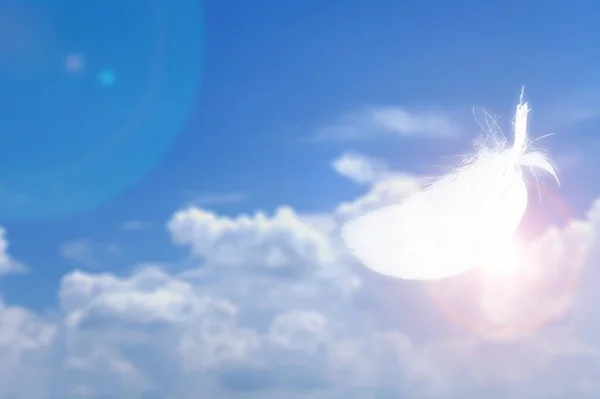 Doux Léger Duveteux Blanc Plume Flottant Dans Ciel Bleu Avec — Photo