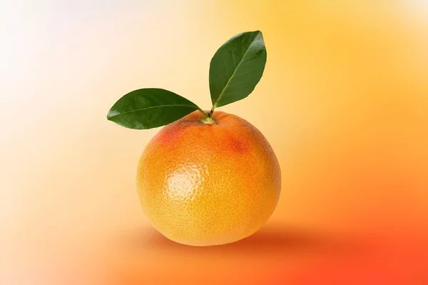Смачні Апельсинові Цитрусові Зеленим Листям — стокове фото