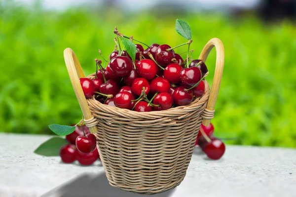 Ízletes Friss Érett Cseresznye Egy Kosárban Asztalon — Stock Fotó