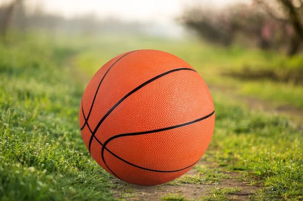 Bola Basket Oranye Baru Lantai — Stok Foto