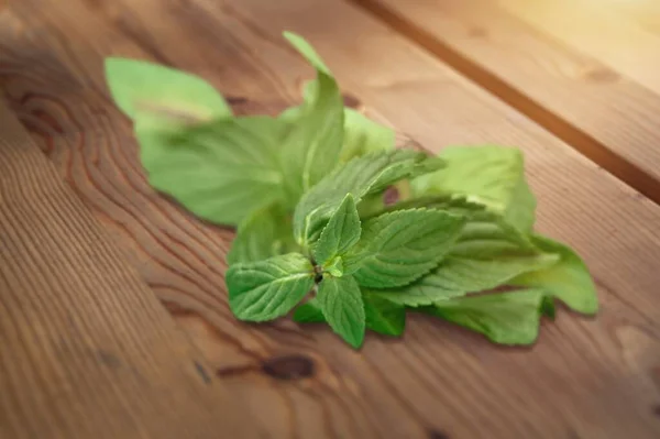 Daun Mint Hijau Segar Meja — Stok Foto