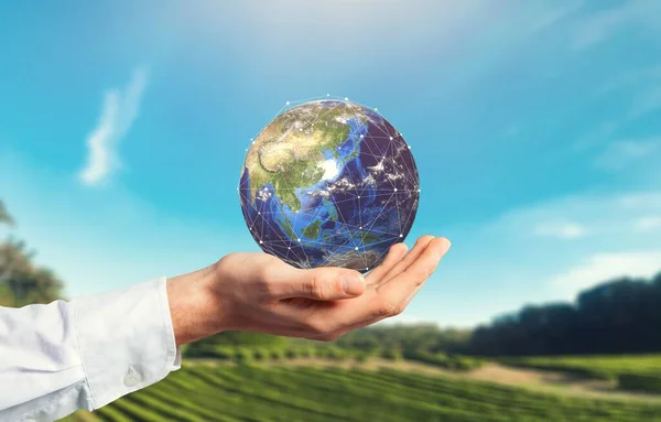 Mujer Sosteniendo Globo Terráqueo Mano Salvando Tierra Concepto Energía —  Fotos de Stock