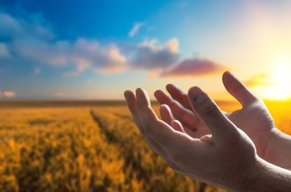 Jesucristo Extendiendo Sus Manos Orando Atardecer — Foto de Stock