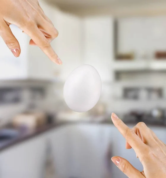 Duas Mãos Tocando Ovo Branco Voador Fundo Criação Uma Nova — Fotografia de Stock