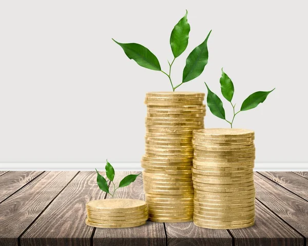 Mostrando Desenvolvimentos Financeiros Crescimento Negócios Com Uma Árvore Verde Crescente — Fotografia de Stock