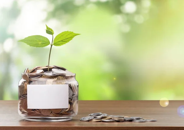 Saving Concept Plant Growing Glass Jar Coins — Stock Photo, Image