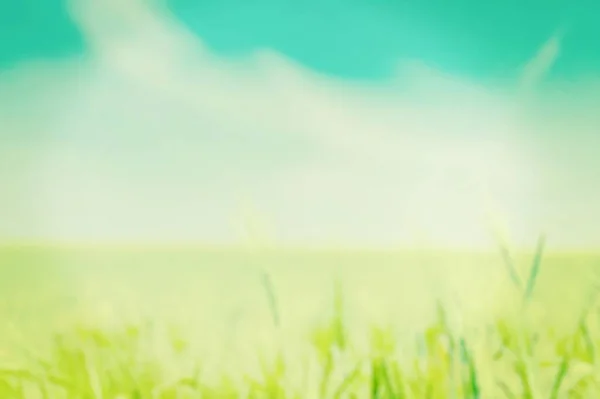 Зелене Поле Трави Блакитне Небо Білими Хмарами — стокове фото