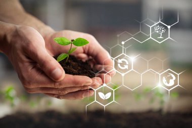 Tarımsal çizimlerle birlikte yeşil bitki insanların elinde