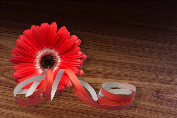 Ahşap Arka Planda Kırmızı Gerbera Çiçeği — Stok fotoğraf