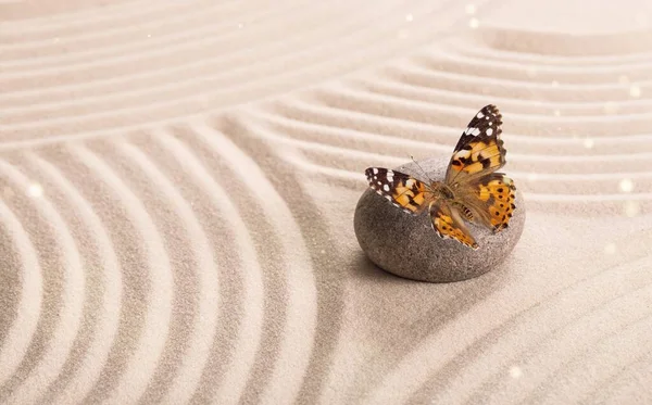 Όμορφη Zen Κήπο Πέτρα Διαλογισμού Και Πεταλούδα — Φωτογραφία Αρχείου
