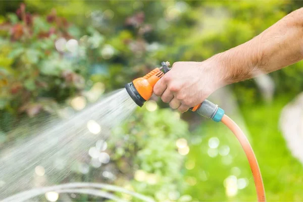 hand watering the water sprinkler with a hose