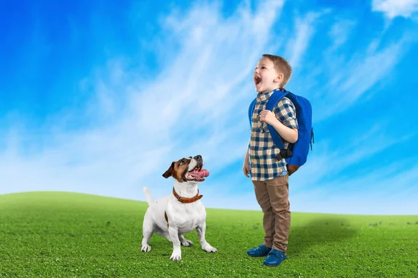 Lindo Niño Corriendo Con Perro Aire Libre Día Verano — Foto de Stock