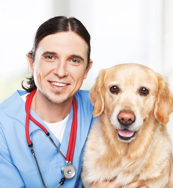 Retrato Una Veterinaria Con Lindo Perro — Foto de Stock
