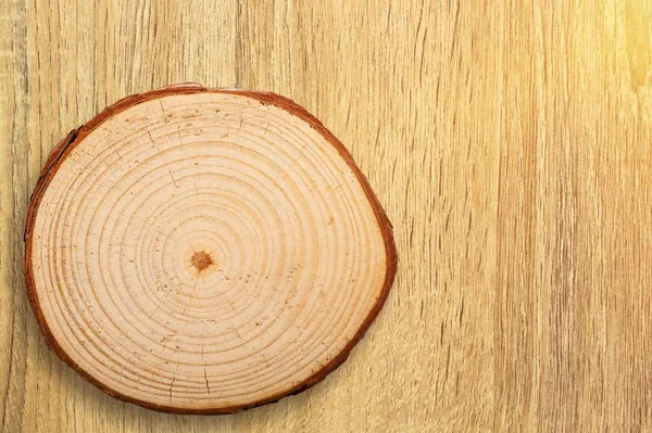 Felled Piece Wood Tree Trunk Growth Rings — Stock Photo, Image