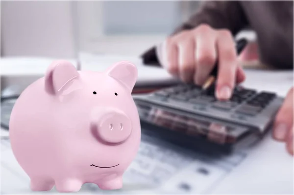 Ausgaben Verwalten Ausgaben Kalkulieren Rechnungen Online Mit Dem Sparschwein Auf Stockbild