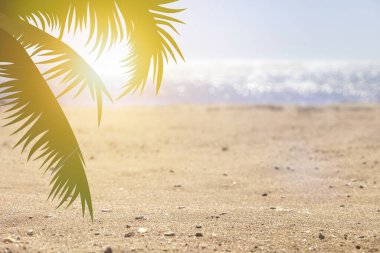 Mavi gökyüzü manzarası ve beyaz sahilde hindistan cevizi palmiyesi yaprakları.