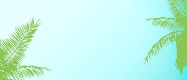 Mavi arka planda tropik palmiye yaprakları