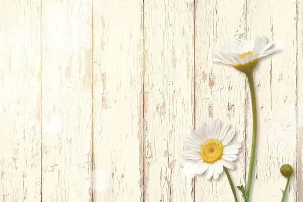 Σύνθεση Λουλουδιών Κίτρινα Φρέσκα Ανοιξιάτικα Λουλούδια Ξύλινο Γραφείο — Φωτογραφία Αρχείου