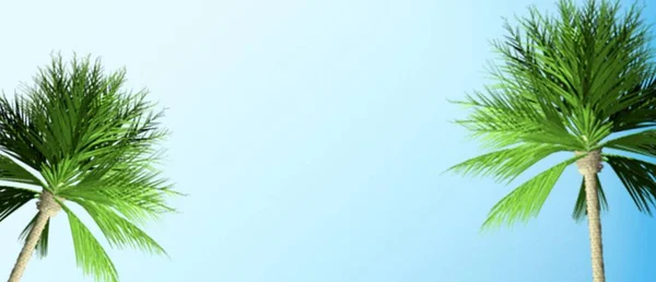 青い背景に熱帯のヤシの葉 — ストック写真