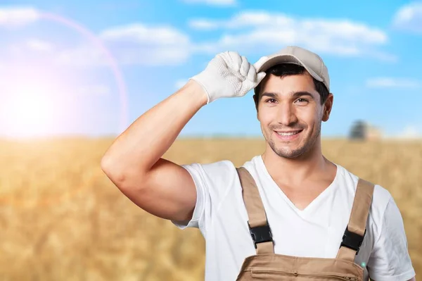 Agricultor Masculino Que Trabaja Plantación Soja Examinando Desarrollo Cultivos — Foto de Stock