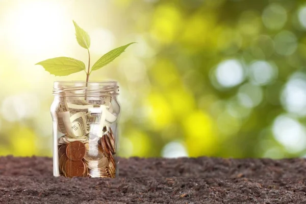 Small plants that grow from money, coins on soil, business and investment growth ideas.