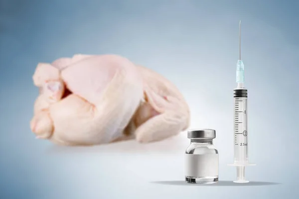 带有H10N3禽流感概念的生鸡肉盘 桌上有注射器 — 图库照片