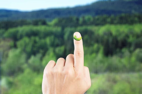 Зеленая Гусеница Пальце Человеческой Руки Естественный Зеленый Фон — стоковое фото